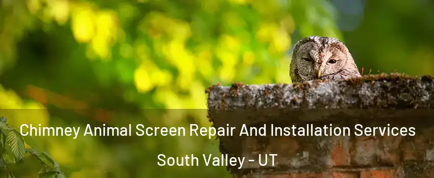  Chimney Animal Screen Repair And Installation Services South Valley - UT