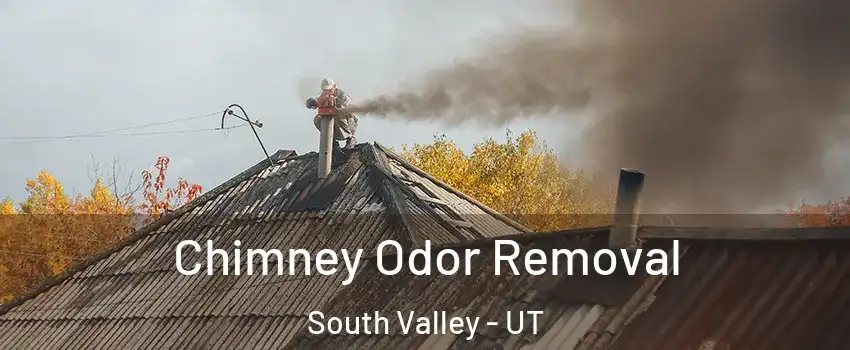  Chimney Odor Removal South Valley - UT