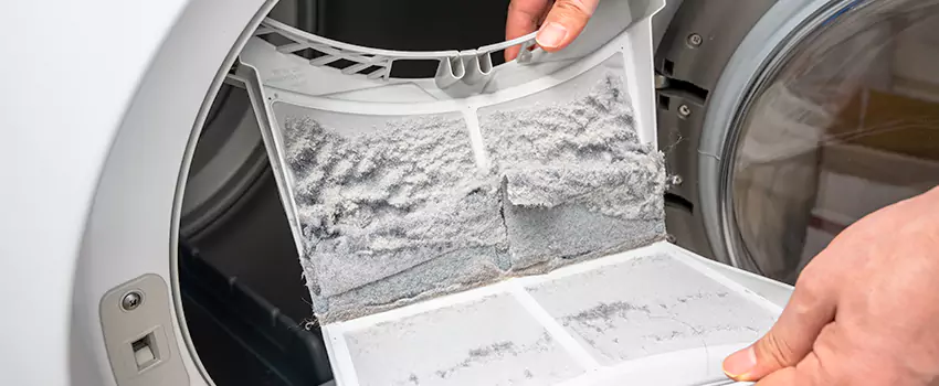 Best Dryer Lint Removal Company in South Valley, Utah