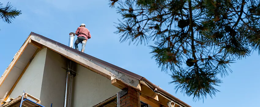 Birds Removal Contractors from Chimney in South Valley, UT