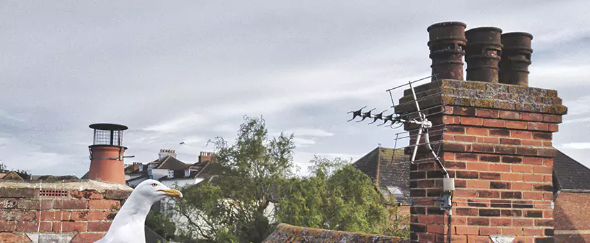Chimney Cleaning And Restoration in South Valley, Utah