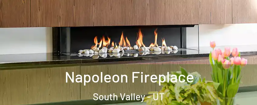  Napoleon Fireplace South Valley - UT